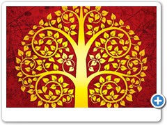 aeb59bac1ce6f875658248694e7ad495